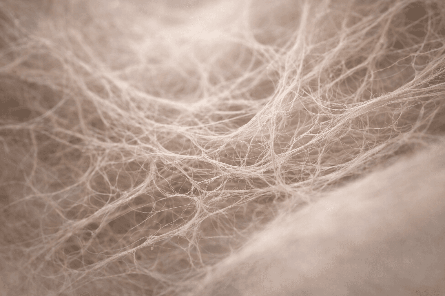 Texture naturelle évoquant les fascia